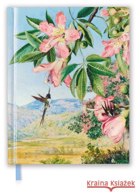 Kew Gardens: Foliage and Flowers by Marianne North (Blank Sketch Book) Flame Tree Studio 9781787558434 Flame Tree Publishing