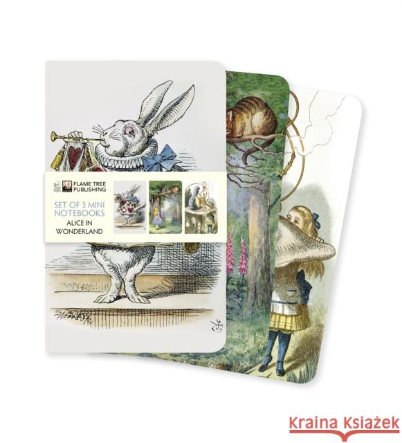 Alice in Wonderland Set of 3 Mini Notebooks  9781787559141 Flame Tree Publishing