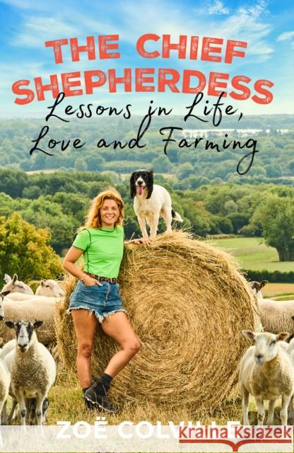 The Chief Shepherdess: Lessons in Life, Love and Farming Zoe Colville 9781787635746 Transworld Publishers Ltd