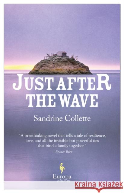 Just After the Wave Collette, Sandrine 9781787702127 Europa Editions (UK) Ltd