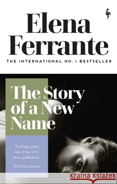 The Story of a New Name Ferrante, Elena 9781787702233