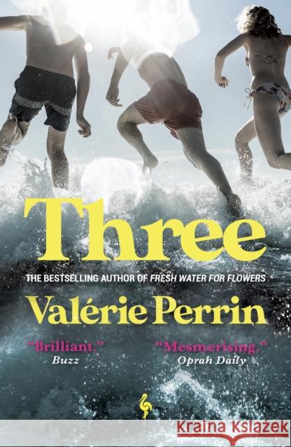 Three: From the bestselling author of Fresh Water for Flowers Valerie Perrin 9781787704633