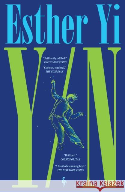 Y/N: A novel Yi, Esther 9781787705012 Europa Editions (UK) Ltd