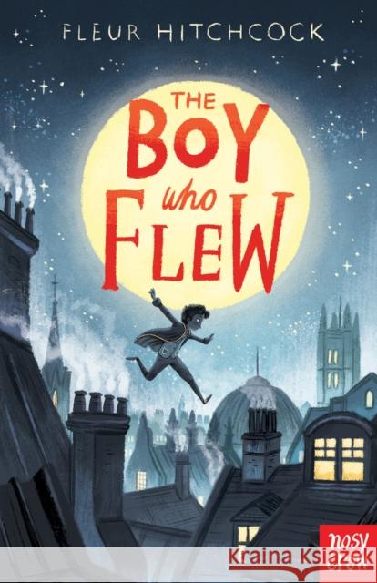 The Boy Who Flew Fleur Hitchcock   9781788004381