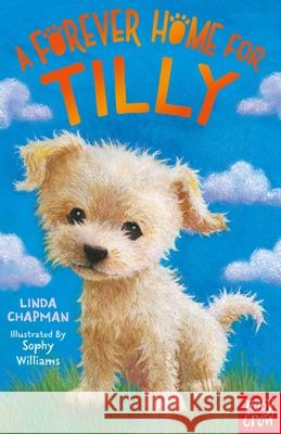 A Forever Home for Tilly Linda Chapman 9781788007924 Nosy Crow Ltd