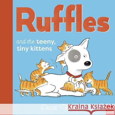 Ruffles and the Teeny, Tiny Kittens David Melling 9781788009904 Nosy Crow Ltd