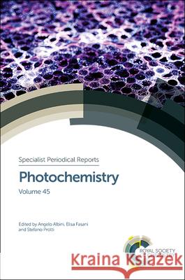 Photochemistry: Volume 45 Angelo Albini Rui Fausto J. Sergio Seixa 9781788010061