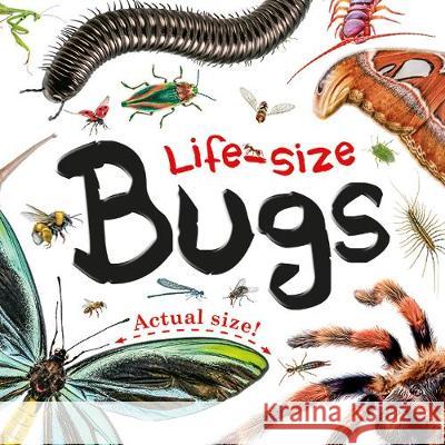 Life-size: Bugs  9781788107754 Bonnier Books Ltd