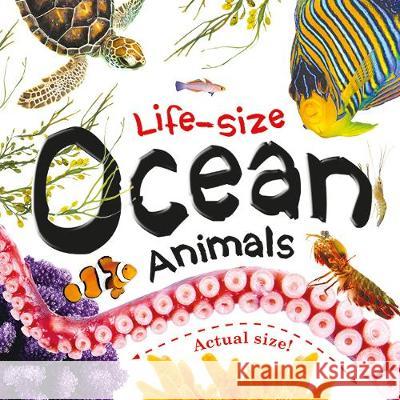 Life-size: Ocean Animals  9781788107761 Bonnier Books Ltd