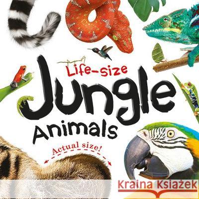 Life-size: Jungle Animals  9781788108201 Bonnier Books Ltd
