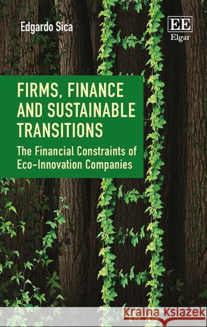 Firms, Finance and Sustainable Transitions: The Financial Constraints of ECO-Innovation Companies Edgardo Sica   9781788111812