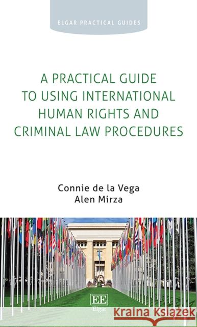 A Practical Guide to Using International Human Rights and Criminal Law Procedures Connie de la Vega Alen Mirza  9781788119719