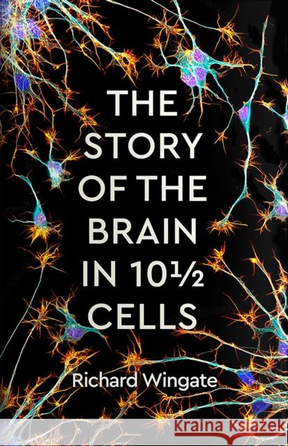 The Story of the Brain in 10½ Cells Richard Wingate 9781788162968 Profile Books Ltd