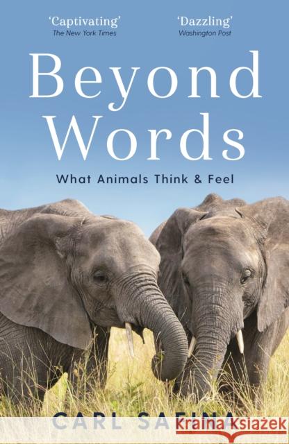 Beyond Words: What Animals Think and Feel Carl Safina   9781788164238 Profile Books Ltd