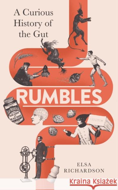 Rumbles: A Curious History of the Gut Elsa Richardson 9781788167550