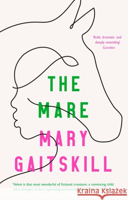 The Mare Mary Gaitskill 9781788168670 Profile Books Ltd