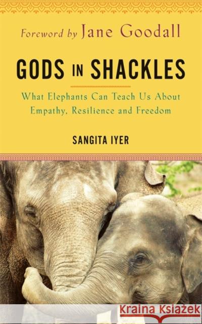 Gods in Shackles: What Elephants Can Teach Us About Empathy, Resilience and Freedom SANGITA IYER 9781788178181 Hay House UK Ltd