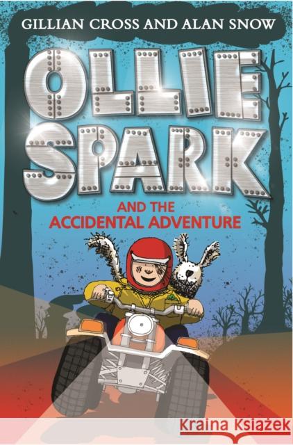 Ollie Spark and the Accidental Adventure GILLIAN CROSS 9781788452397