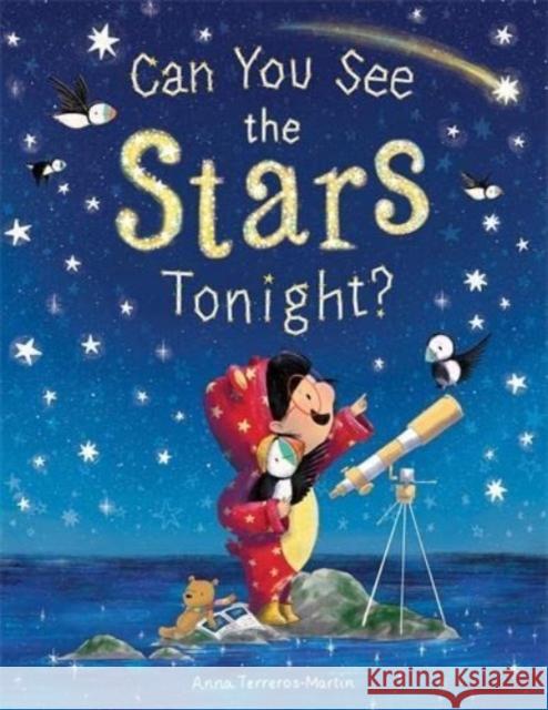Can You See the Stars Tonight? Anna Terreros-Martin 9781788452908 David Fickling Books