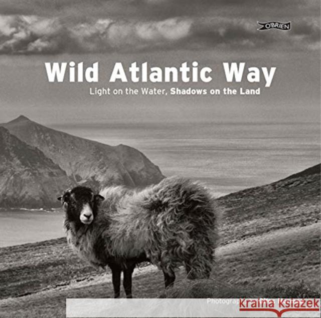 Wild Atlantic Way: Light on the water, shadows on the land Giles Norman 9781788491228 O'Brien Press Ltd