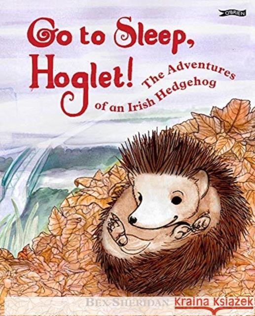 Go To Sleep, Hoglet Bex Sheridan 9781788491433