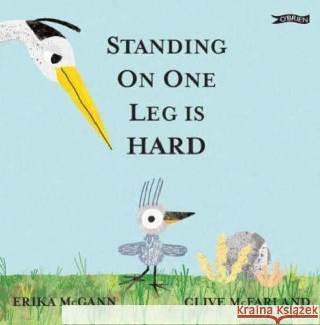 Standing on One Leg is Hard Erika McGann 9781788493215 O'Brien Press Ltd