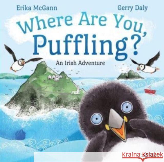 Where Are You, Puffling? Erika McGann Gerry Daly 9781788493239 O'Brien Press Ltd