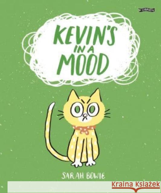 Kevin's In a Mood Sarah Bowie 9781788493598 O'Brien Press Ltd