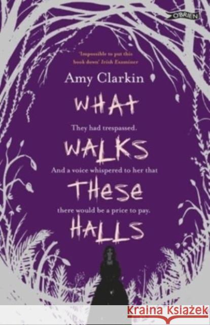 What Walks These Halls Amy Clarkin 9781788493734 O'Brien Press Ltd