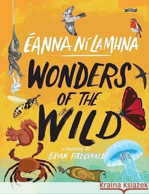 Wonders of the Wild Eanna Ni Lamhna 9781788494083 O'Brien Press Ltd