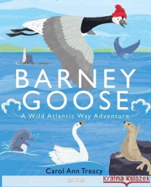 Barney Goose: A Wild Atlantic Way Adventure Carol Ann Treacy 9781788494823 O'Brien Press Ltd