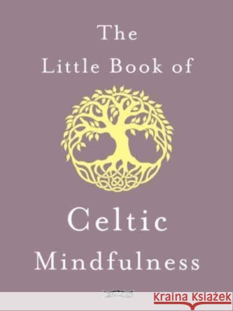 The Little Book of Celtic Mindfulness Kunak McGann 9781788494885