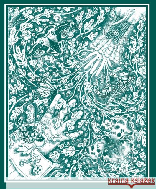 The Stolen Child W. B. Yeats 9781788495172 O'Brien Press Ltd