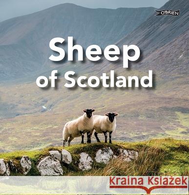Sheep of Scotland Sarah O'Connor 9781788495981 O'Brien Press Ltd