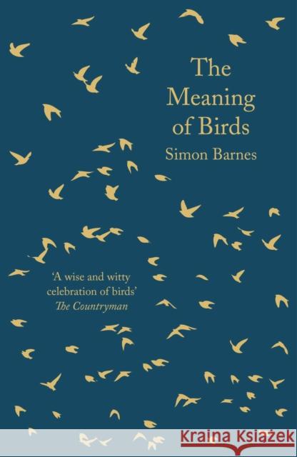 The Meaning of Birds Barnes, Simon 9781788542814 Bloomsbury Publishing PLC