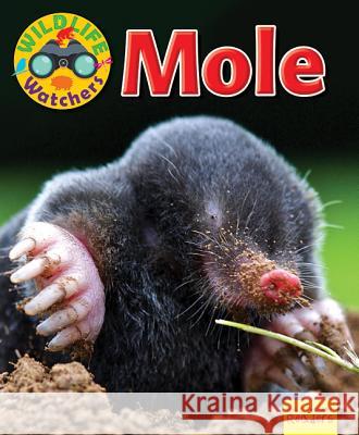 Mole Ruth Owen 9781788560603 Not Avail