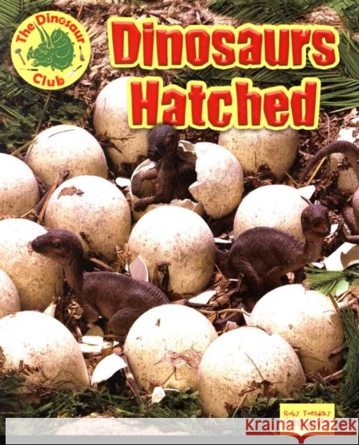 Dinosaurs Hatched! Ruth Owen 9781788560795 Ruby Tuesday Books Ltd