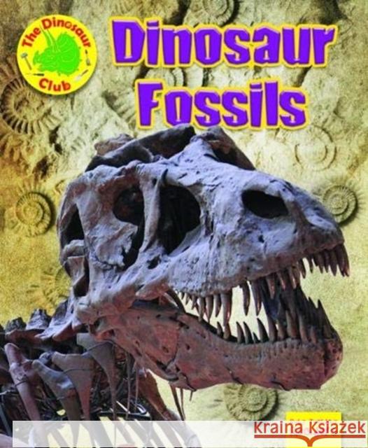 Dinosaur Fossils Ruth Owen 9781788560863 Ruby Tuesday Books Ltd