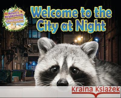 Welcome to the City at Night Ruth Owen 9781788563000 Ruby Tuesday Books