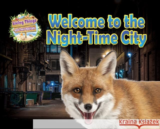 Welcome to the Night-Time City Ruth Owen   9781788563277 Ruby Tuesday Books Ltd