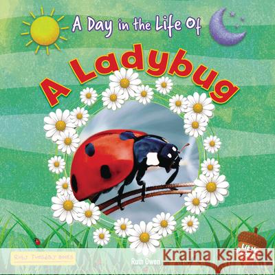 A Ladybug Ruth Owen 9781788564984 Ruby Tuesday Books