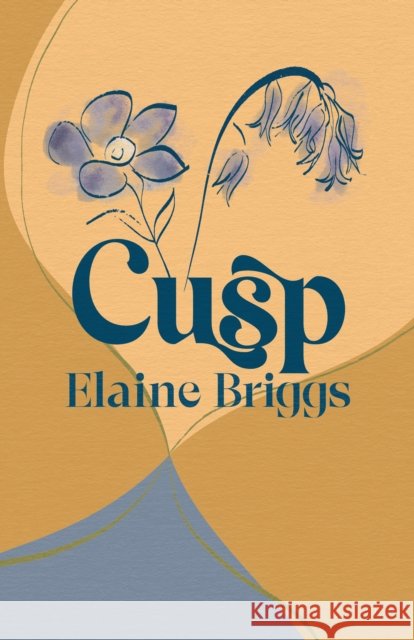 Cusp Elaine Briggs 9781788641739