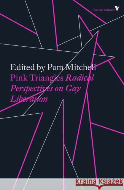 Pink Triangles: Radical Perspectives on Gay Liberation Pam Mitchell 9781788732345 Verso Books
