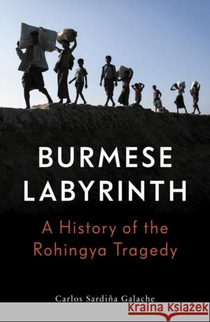 The Burmese Labyrinth Carlos Sardina Galache 9781788733205 Verso Books