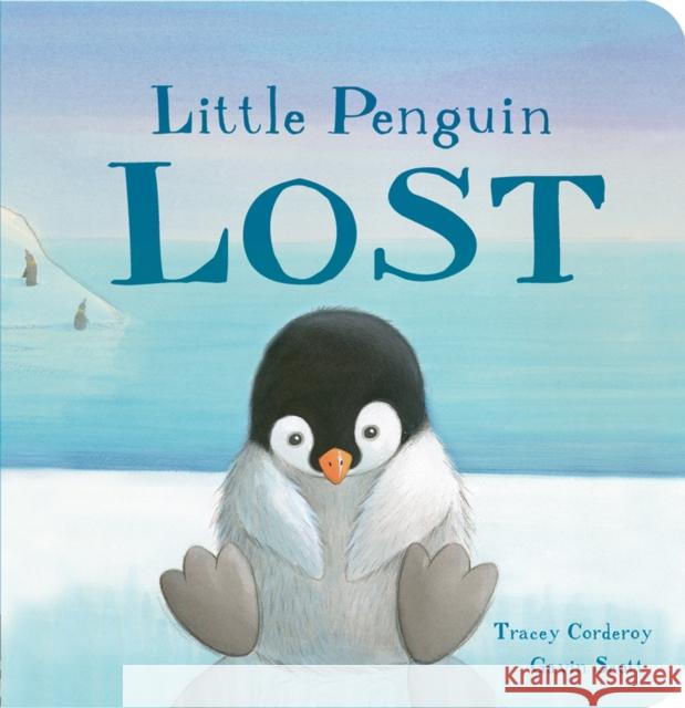 Little Penguin Lost Gavin Scott 9781788810081 Little Tiger Press Group