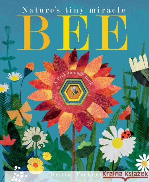 Bee: Nature's tiny miracle Patricia Hegarty 9781788816281
