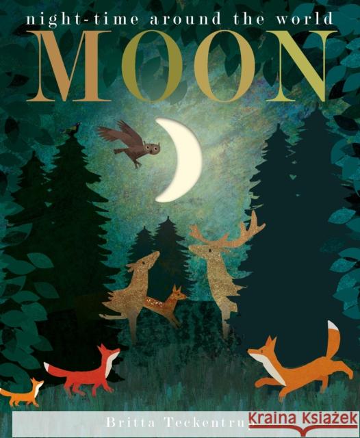 Moon: night-time around the world Britta Teckentrup 9781788817158