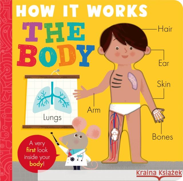 How it Works: The Body Amelia Hepworth 9781788819879