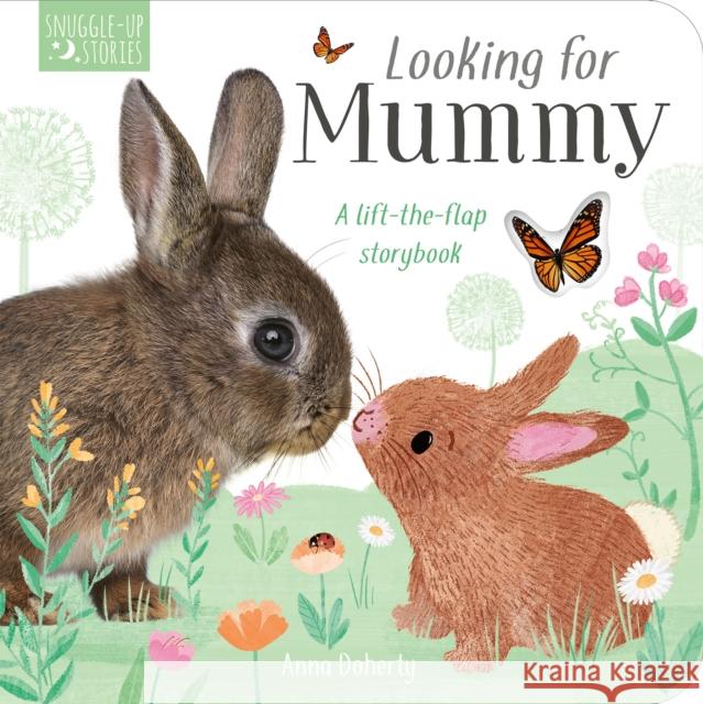 Looking for Mummy: A lift-the-flap storybook Becky Davies 9781788819886 Little Tiger Press Group