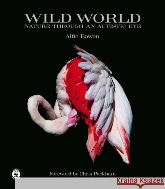 Wild World: Nature through an autistic eye Alfie Bowen 9781788841238 ACC Art Books